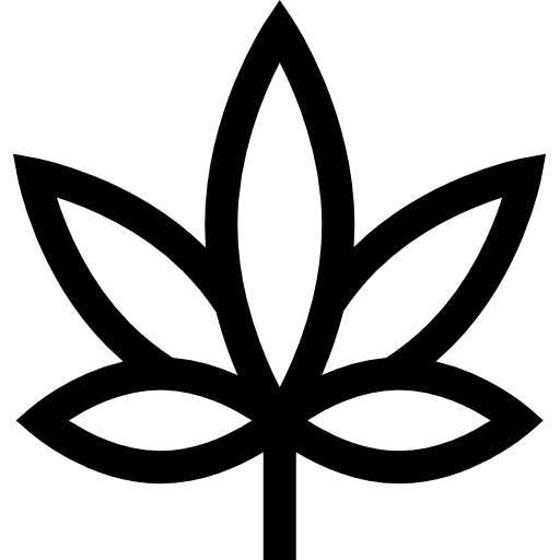 Tráfico de Drogas